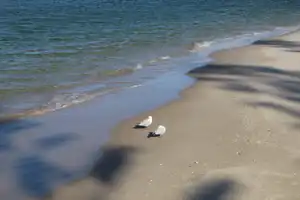 2025-07-21 Cpt. Cook Brdg. Walk - IMG_3804_compressed_q80.webp